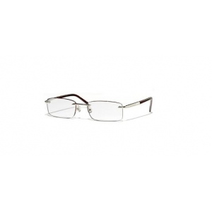 POLISHED SILVER/DARK TORTOISE RIMLESS READERS WITH DEEP LENS SIZE